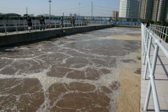 我国现代城市污水处理主导工艺分析与评述